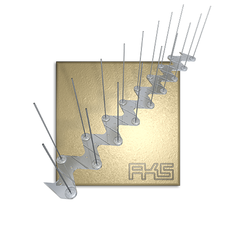 PIXX® - Transparent Duo PIXX® - Transparent Duo