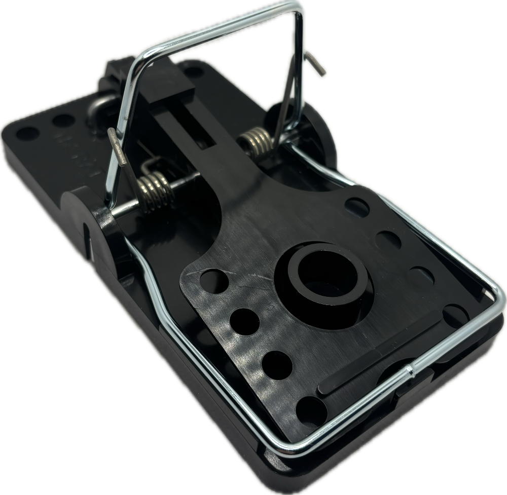 EPM Schlagfalle Ratte