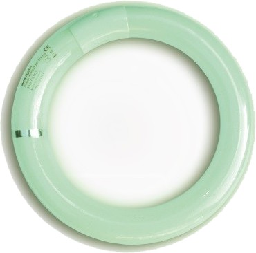 Synergetic grün - 22 Watt rund