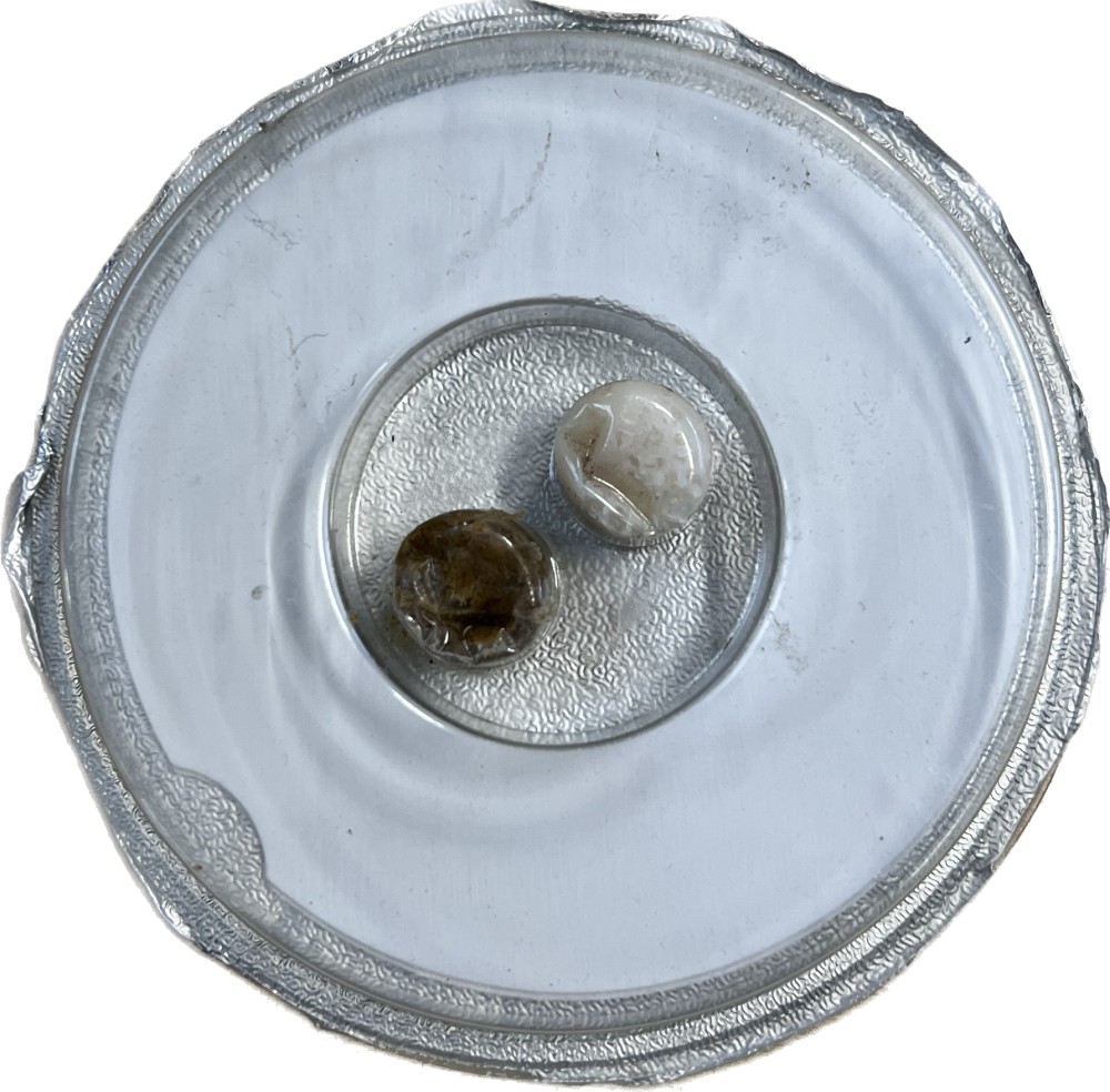 Xlure HHB Nachfüllpack Xlure HHB Nachfüllpack