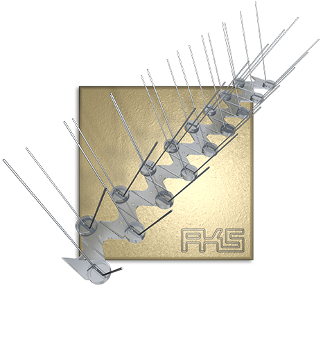 PIXX® - Transparent Quattro