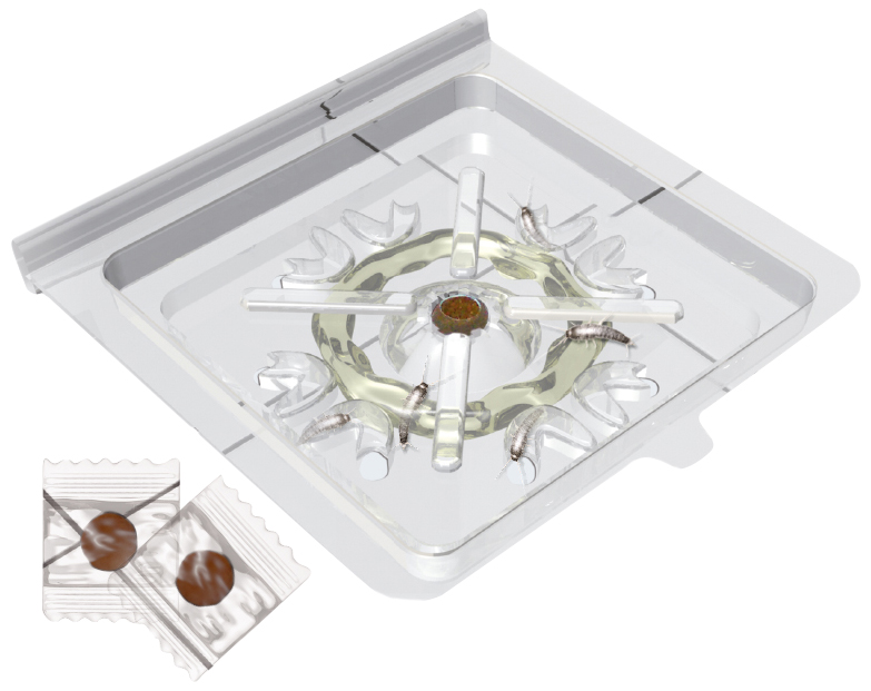 Silberfischchenfalle S-Trap Silberfischchenfalle S-Trap