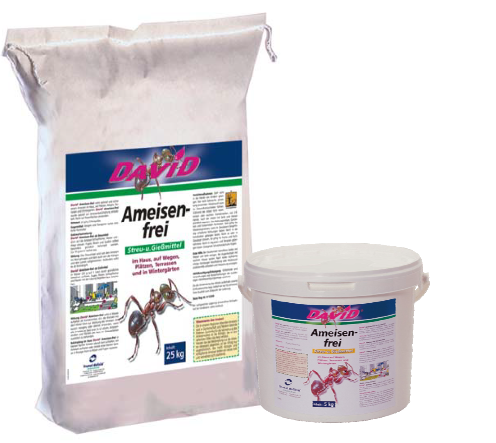 David Ameisen-frei David Ameisen-frei