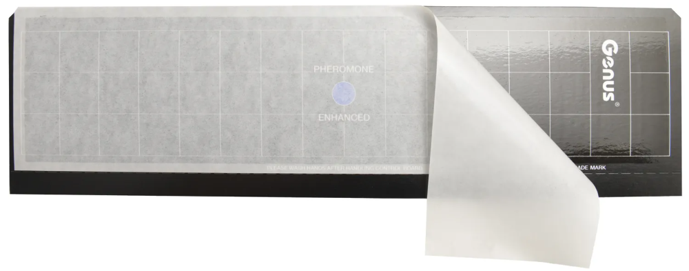 Klebefläche C2-C4 / Defitron / Cobra / Liberator