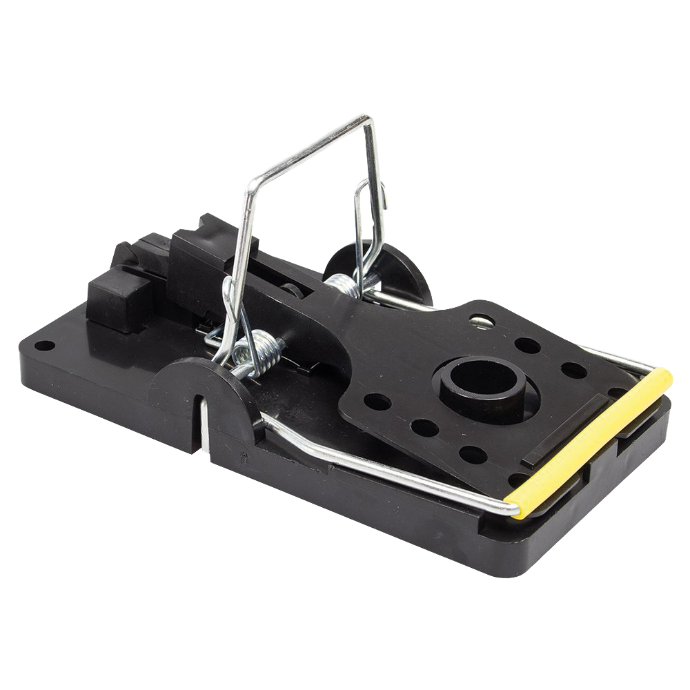 EPM Schlagfalle Ratte EPM Schlagfalle Ratte