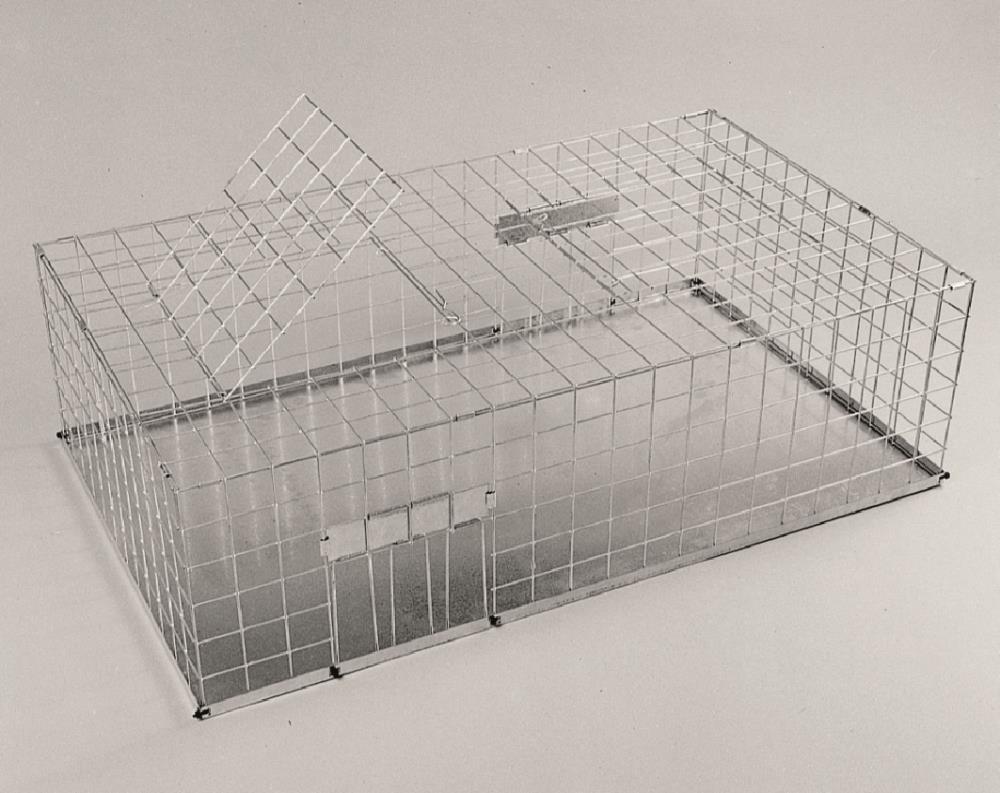 Lebendfalle Tauben Lebendfalle Tauben