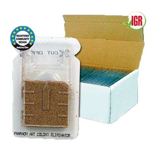 BIOPREN® Pharaoameisen Köderstation