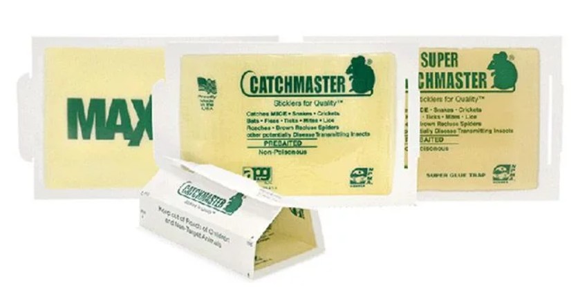 Catchmaster Mäuseklebeflächen Reguar Catchmaster Mäuseklebeflächen Reguar