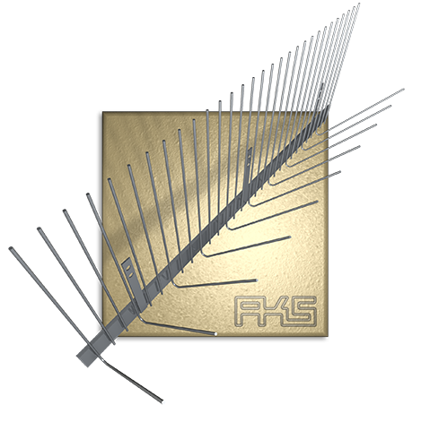 PIXX® - Rinne Sperling PIXX® - Rinne Sperling