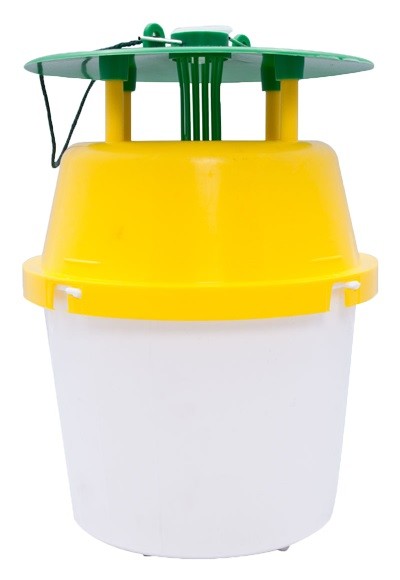 Trichterfalle Trichterfalle