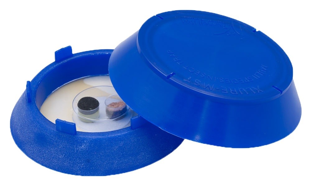 Xlure MST Falle inkl. Pheromon Xlure MST Falle inkl. Pheromon