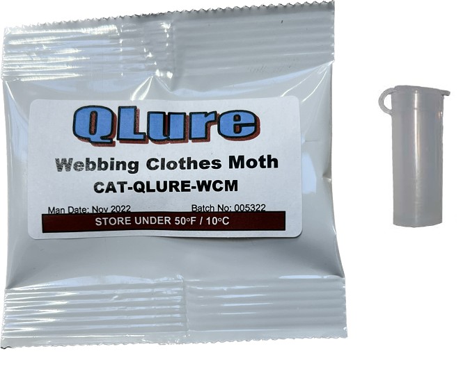 Pheromon QLure - tineola spp.